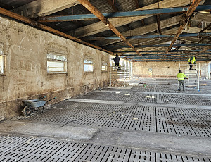 Rekonstrukce haly na farmě chovu prasat